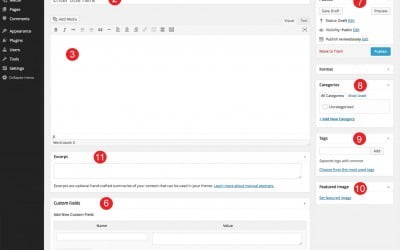 Anatomy of A Post – About Writing Posts