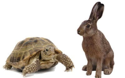 Is Your Site’s Load Time Hurting or Helping Your Bottom Line?