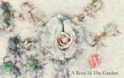 10 Reasons WordPress Is the Preferred Website Platform