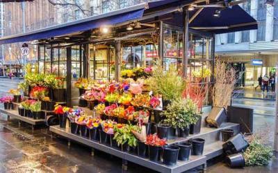 Huntsville SEO Expert Tips for Online Floral Business